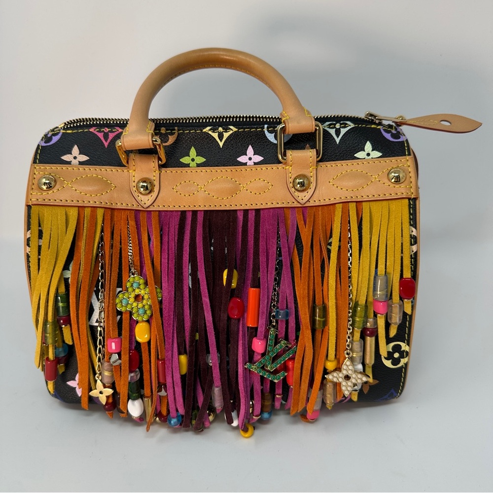 Louis Vuitton Special Edition Rainbow Speedy 25- Like NEW